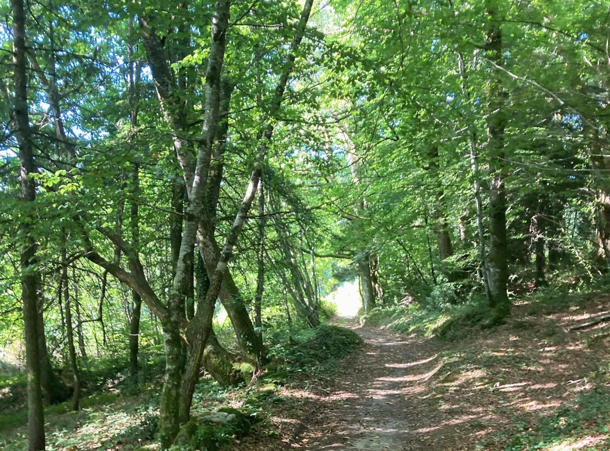 Aux Demeures Des Fees Villa Thouron Luaran gambar